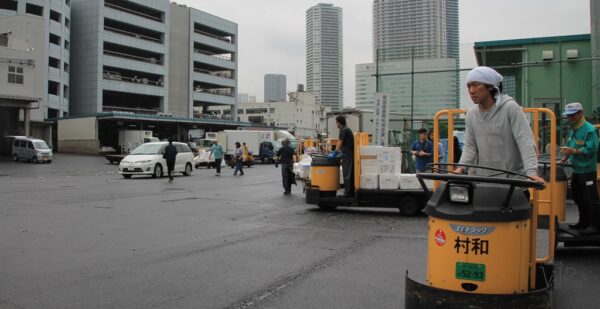 Visita al mercado de Tsukiji Tokio