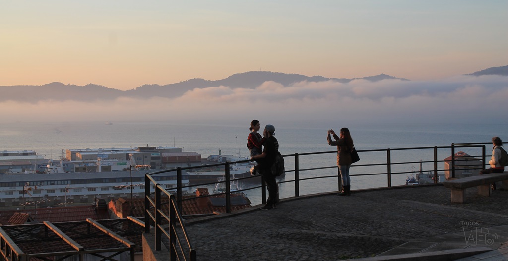 Mirador Olivo Vigo