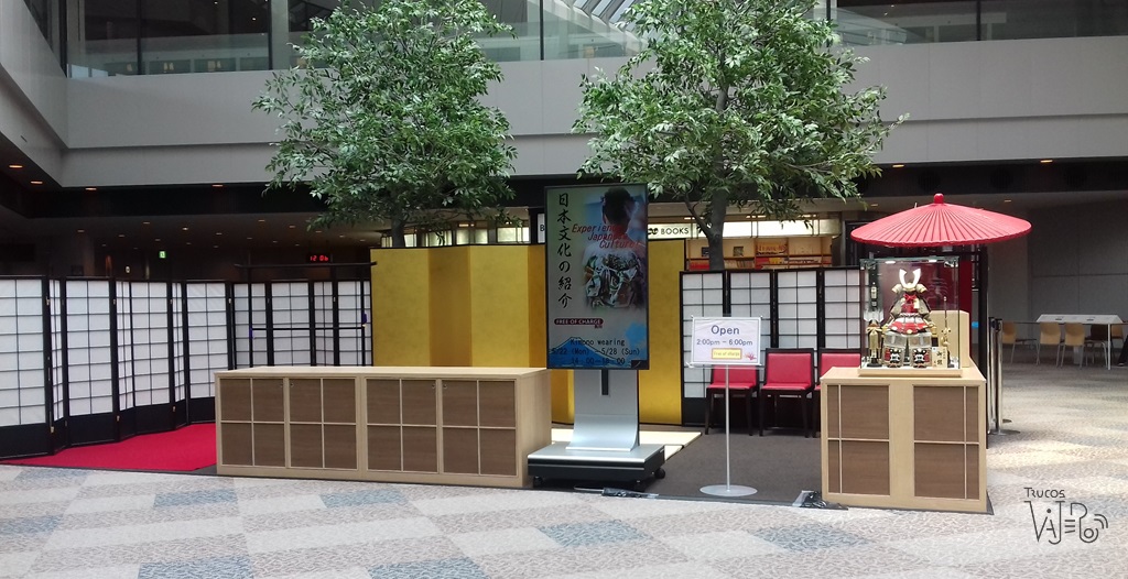 actividades en el aeropuerto de Narita