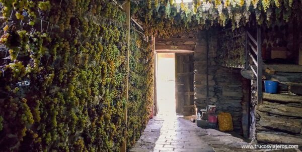 Uvas secando en Adega vellas