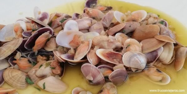 Comer en Chipiona bivalvos