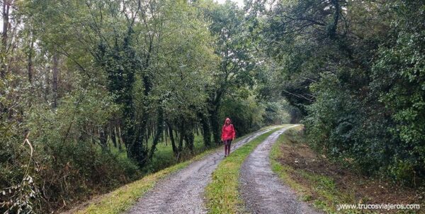 Camino de Santiago