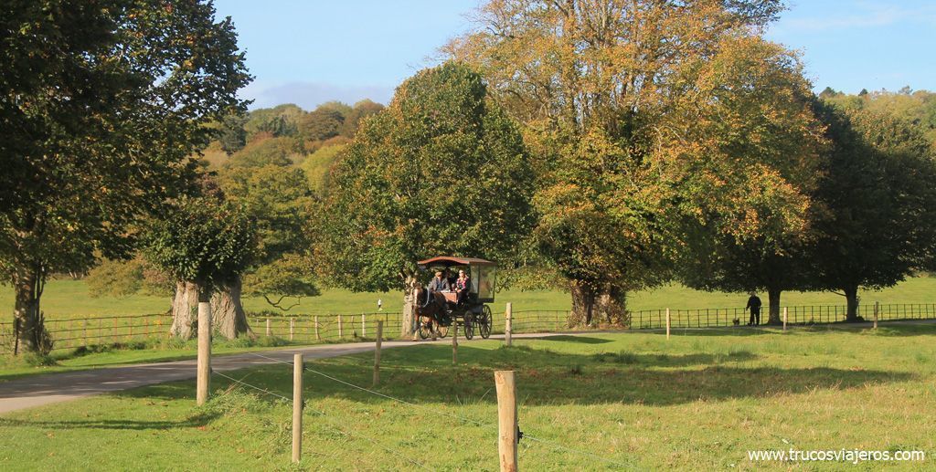 Carruajes de caballos en Irlanda Wild Atlantic Way