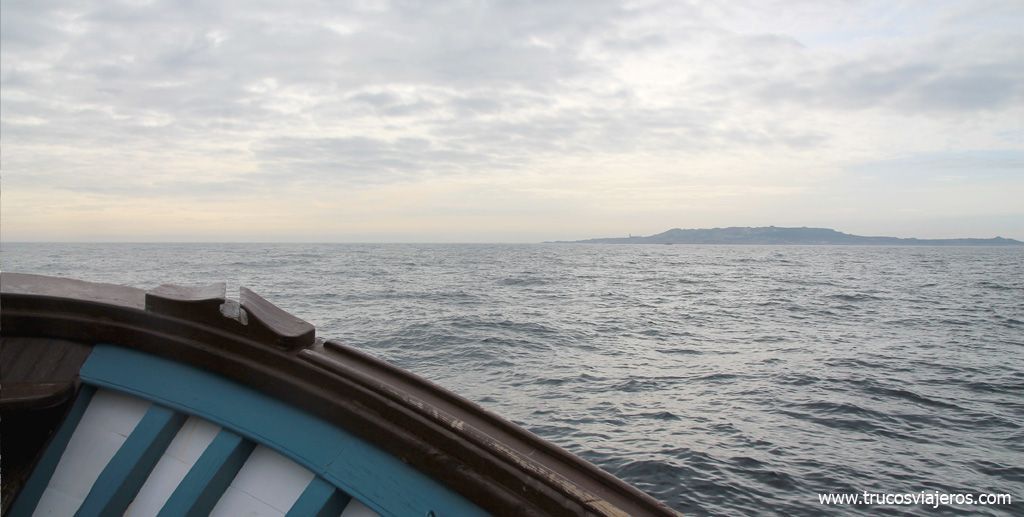Chasula barco a Sálvora avistamiento de pájaros