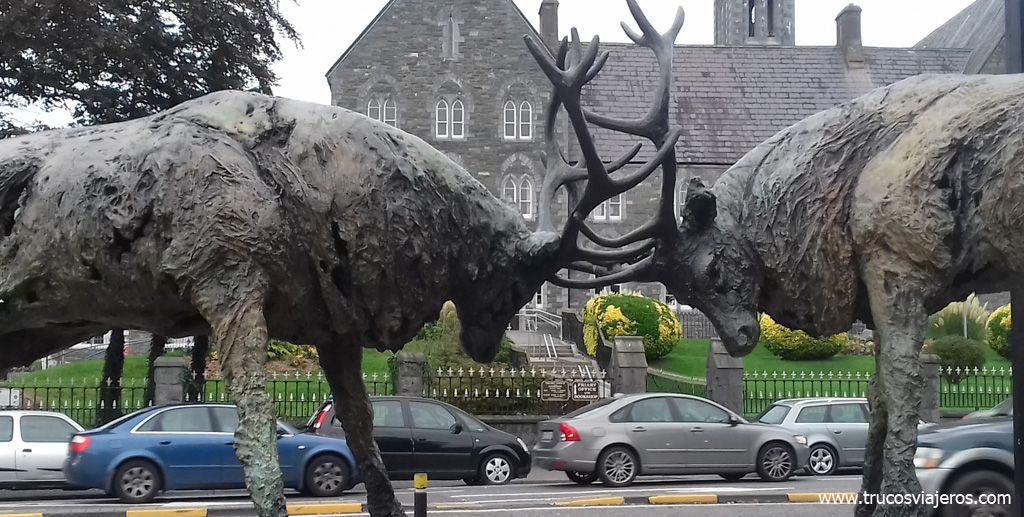 Ciervos de Killarney Irlanda