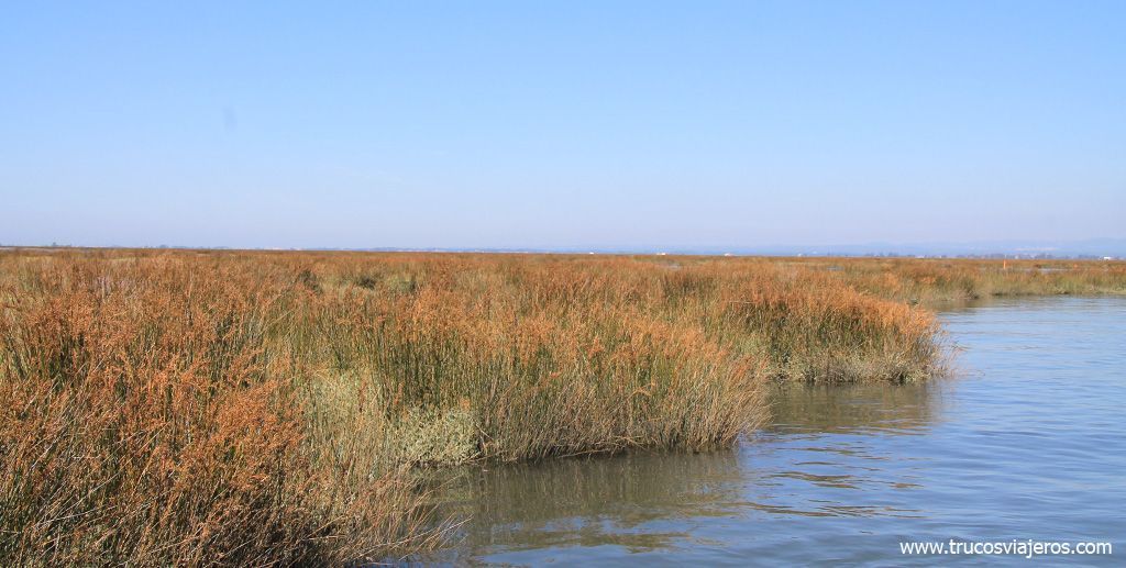 Esteiros de la Ría de Aveiro