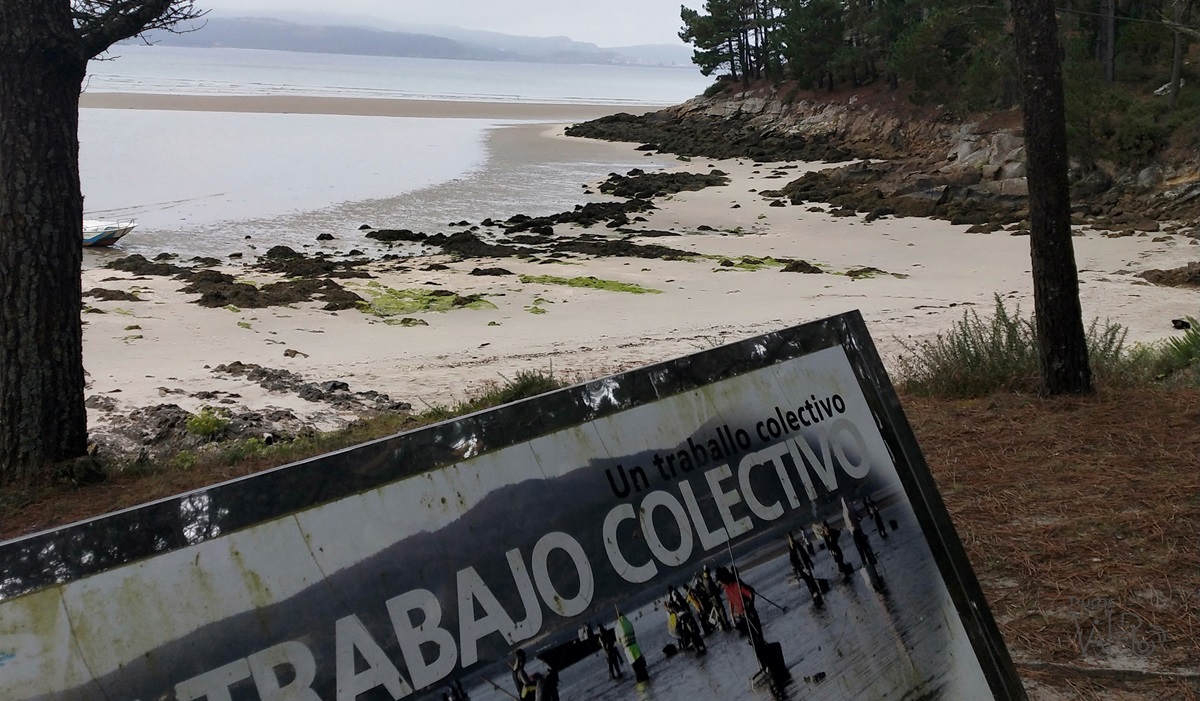 Experiencia de Marisqueo en la Costa da Morte