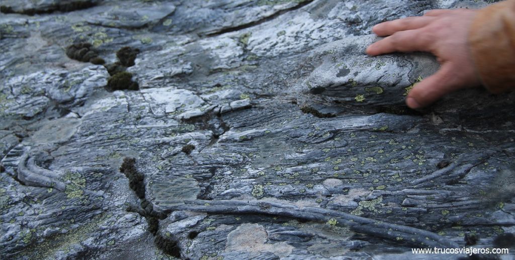 Fósiles de trilobites en San Macario
