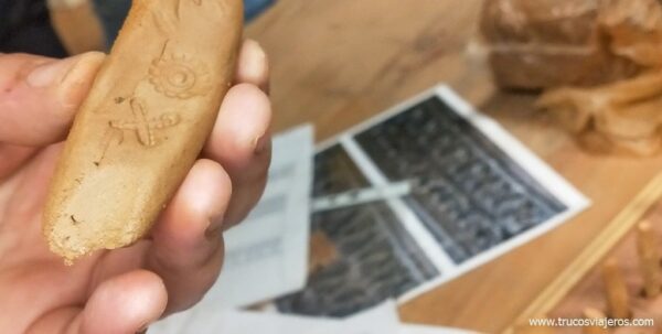 Fundación Terra Termarum en Cuntis