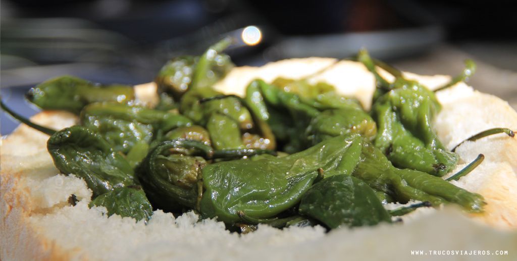 Pimientos de Herbón Padrón