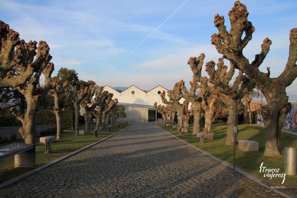 Jardin del Museo del mar de Vigo Galicia
