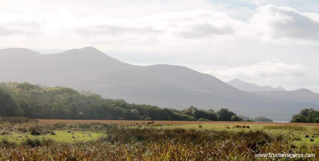 Montañas del Parque Nacional de Killarney Irlanda