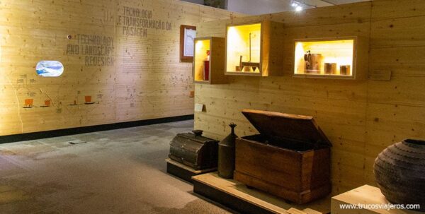 Museo del vino del Duero Portugués