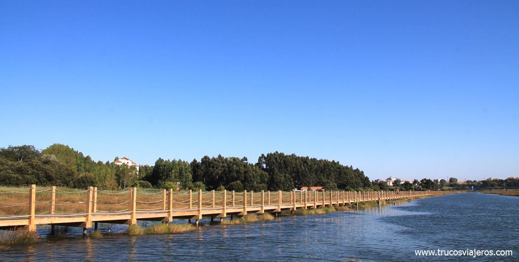 Nuevos passadiços de Aveiro