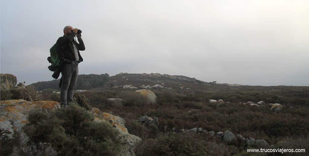 Birdwatching Sálvora Galicia