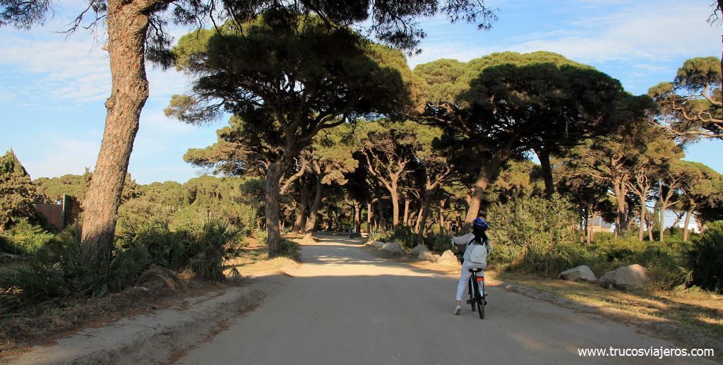 Viaje sostenible Chipiona en bicicleta
