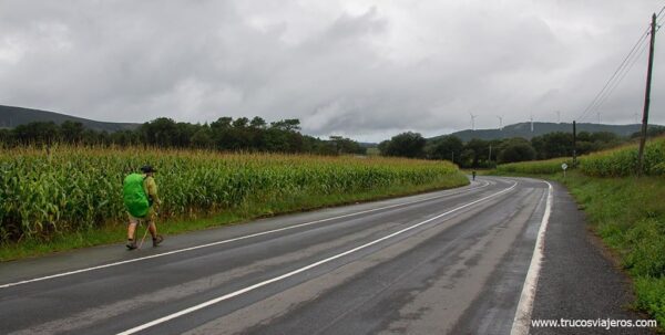 Peregrinos en el Camino de Santiago