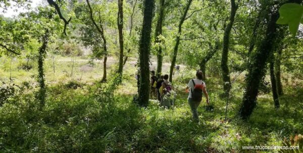 Rutas de senderismo en Cuntis