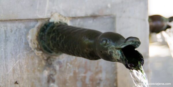 Fuente de Cuntis: serpientes