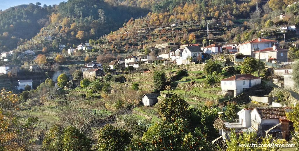 Socalcos valle del Douro Portugal