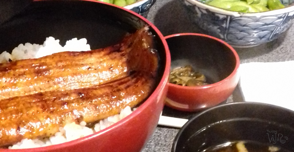 Unagi