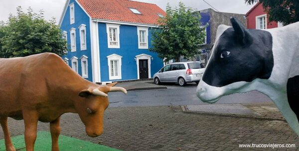 Vacas de Mazaricos
