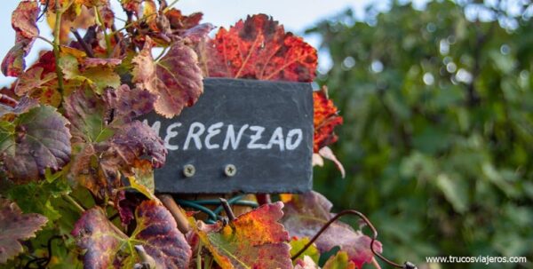 Variedades locales de uva en la Ribeira Sacra merenzao